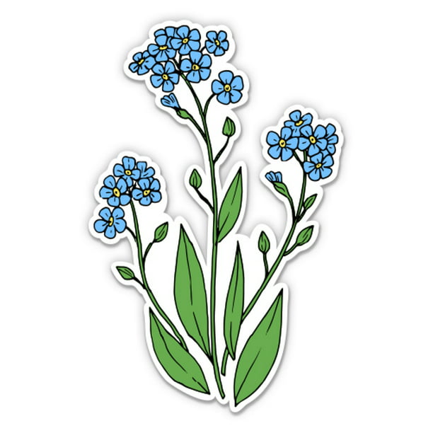 Furniture Wall Self Adhesive Stickers Cut Stick White Clear Blue Forget Me Nots 